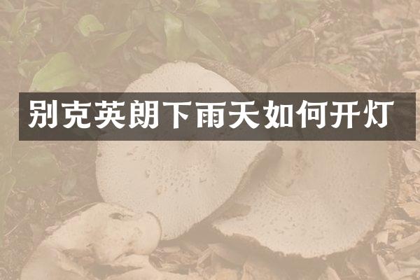 别克英朗下雨天如何开灯