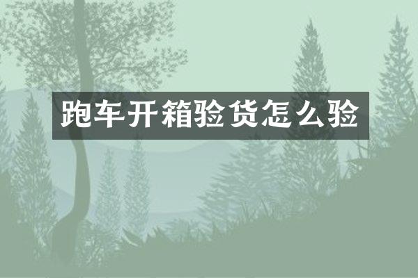 跑车开箱验货怎么验