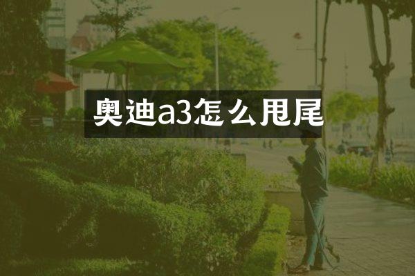 奥迪a3怎么甩尾
