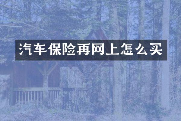 汽车保险再网上怎么买