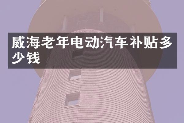 威海老年电动汽车补贴多少钱
