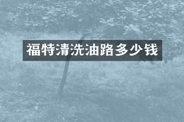 福特清洗油路多少钱