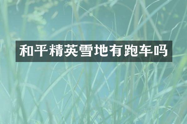 和平精英雪地有跑车吗