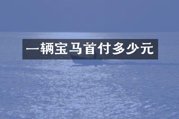 一辆宝马首付多少元