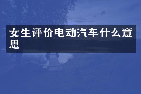 女生评价电动汽车什么意思