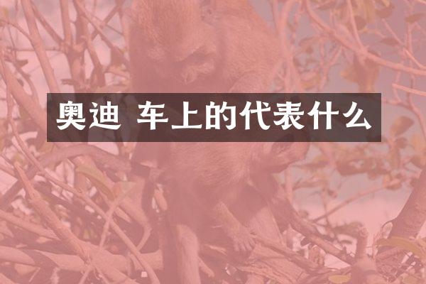 奥迪 车上的代表什么