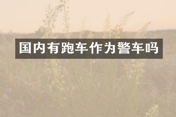 国内有跑车作为警车吗
