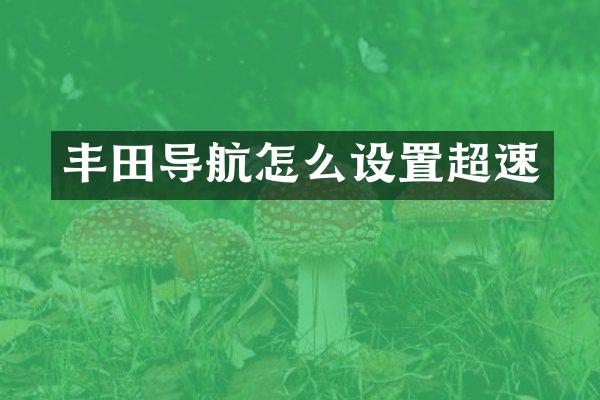 丰田导航怎么设置超速