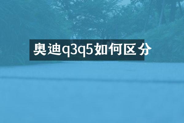 奥迪q3q5如何区分