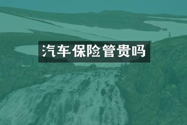 汽车保险管贵吗