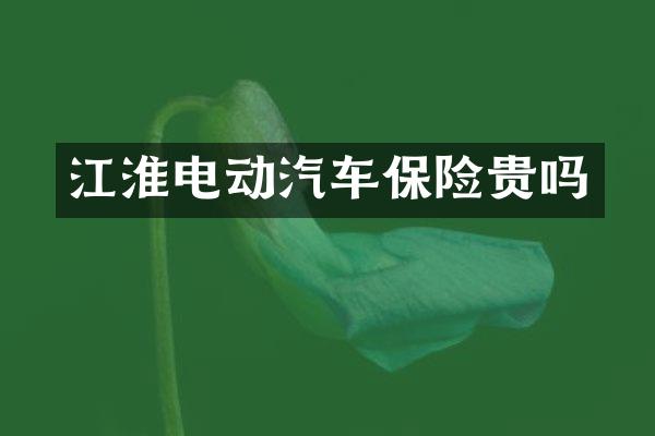 江淮电动汽车保险贵吗