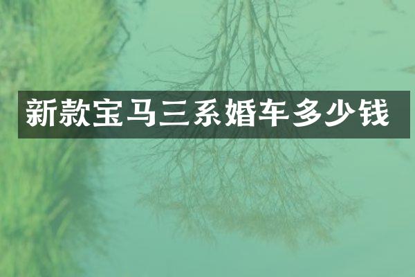 新款宝马三系婚车多少钱