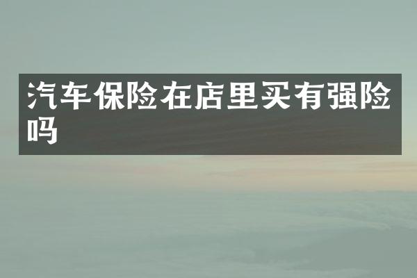 汽车保险在店里买有强险吗