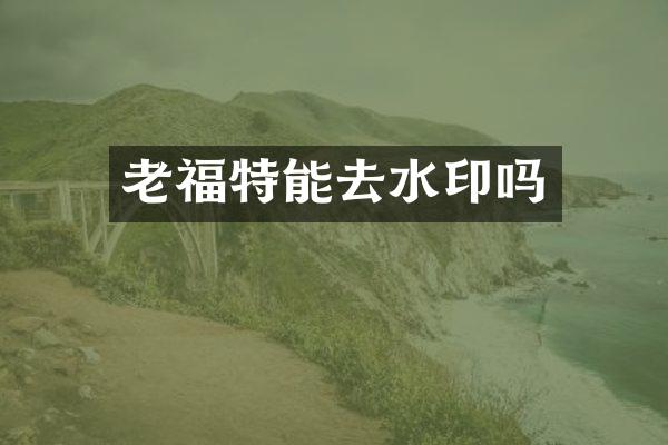 老福特能去水印吗