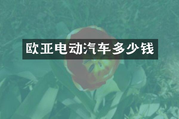 欧亚电动汽车多少钱