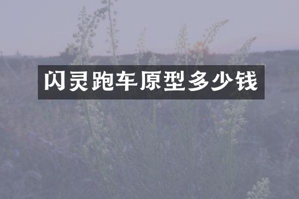 闪灵跑车原型多少钱