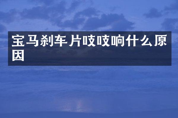 宝马刹车片吱吱响什么原因