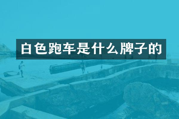 白色跑车是什么牌子的