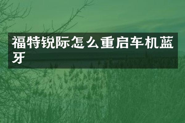 福特锐际怎么重启车机蓝牙