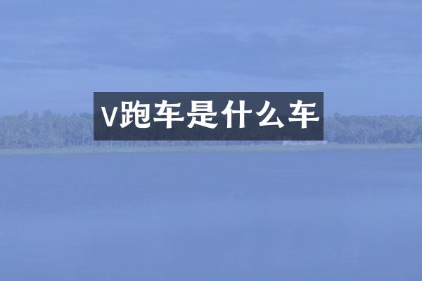 v跑车是什么车