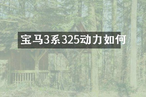 宝马3系325动力如何