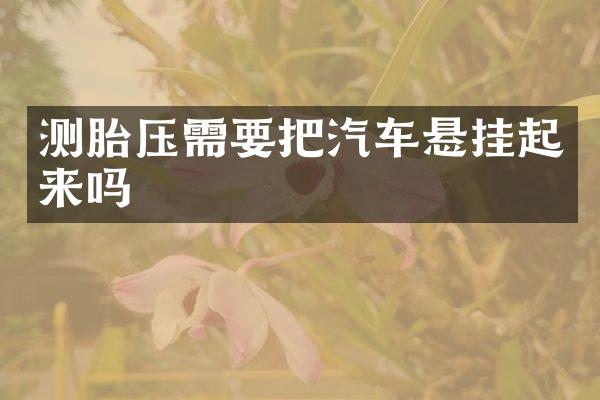 测胎压需要把汽车悬挂起来吗