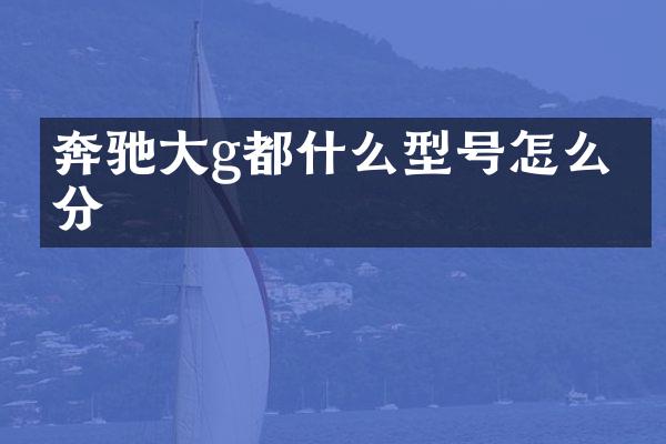奔驰大g都什么型号怎么区分