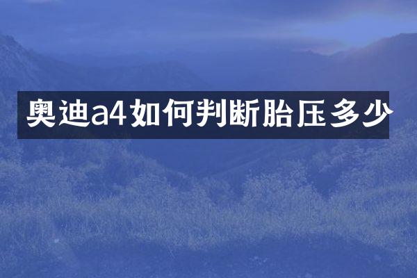 奥迪a4如何判断胎压多少