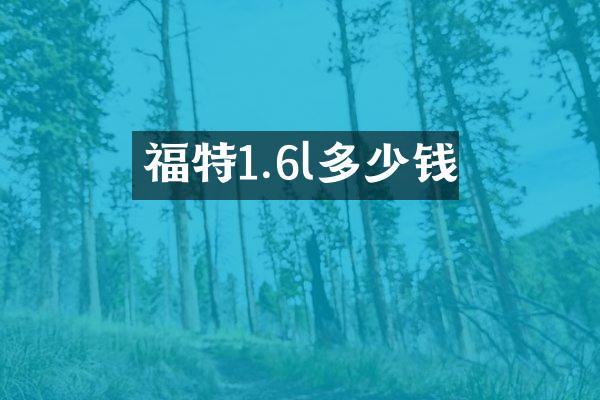 福特1.6l多少钱