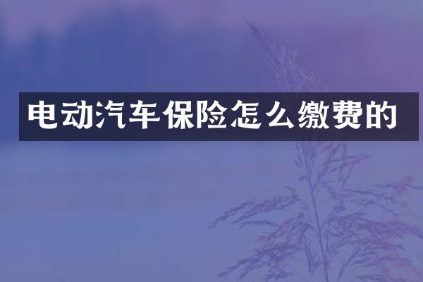 电动汽车保险怎么缴费的