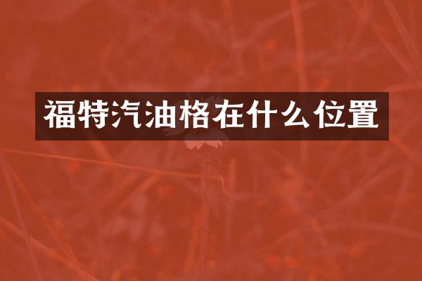 福特汽油格在什么位置
