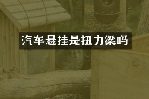 汽车悬挂是扭力梁吗