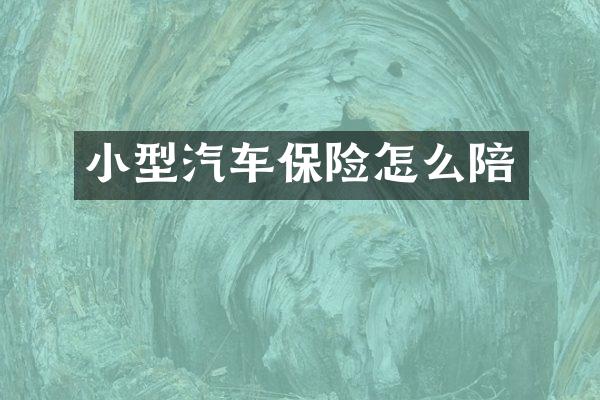 小型汽车保险怎么陪