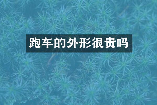 跑车的外形很贵吗