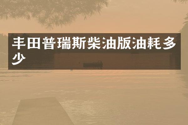 丰田普瑞斯柴油版油耗多少