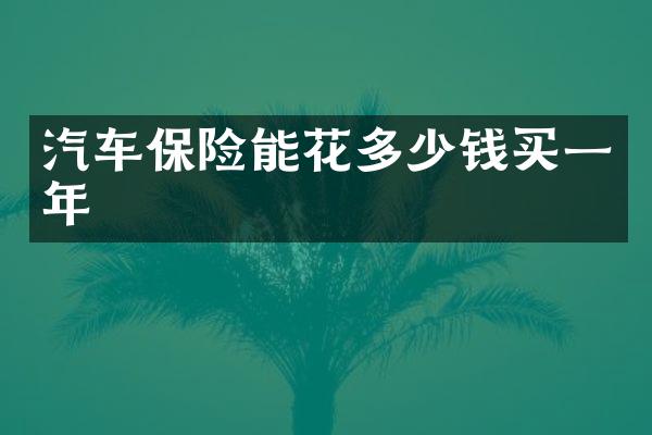汽车保险能花多少钱买一年