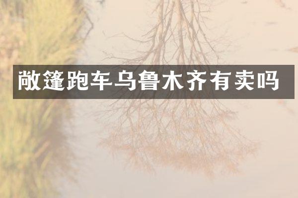敞篷跑车乌鲁木齐有卖吗
