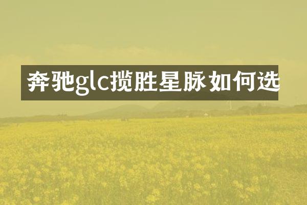 奔驰glc揽胜星脉如何选