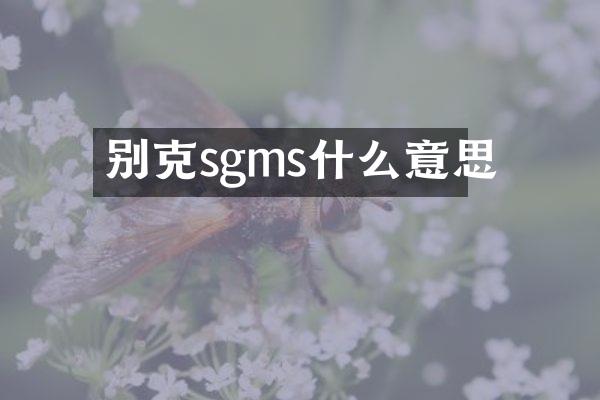 别克sgms什么意思