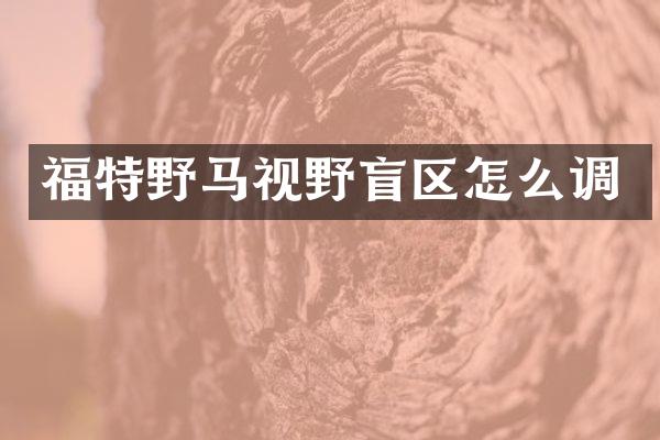 福特野马视野盲区怎么调