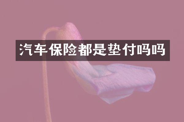 汽车保险都是垫付吗吗