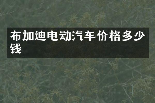 布加迪电动汽车价格多少钱