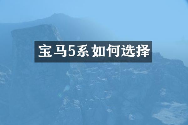宝马5系如何选择