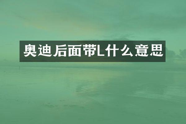 奥迪后面带L什么意思