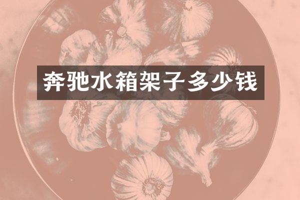 奔驰水箱架子多少钱
