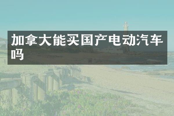 加拿大能买国产电动汽车吗