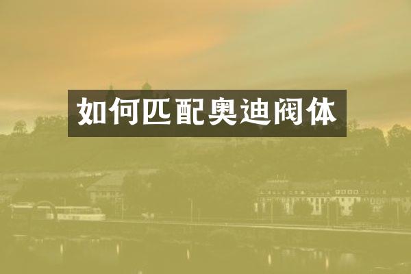 如何匹配奥迪阀体
