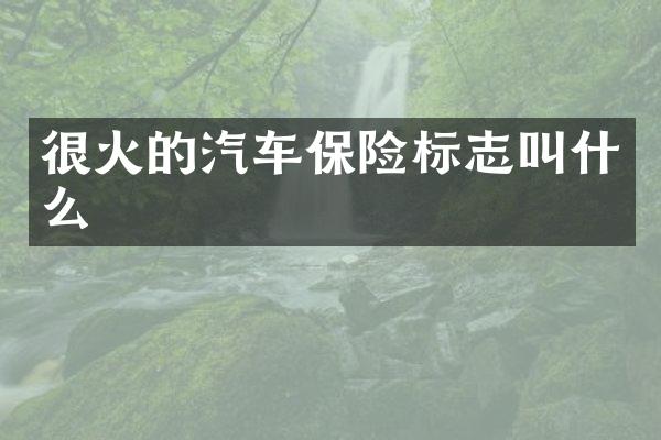 很火的汽车保险标志叫什么
