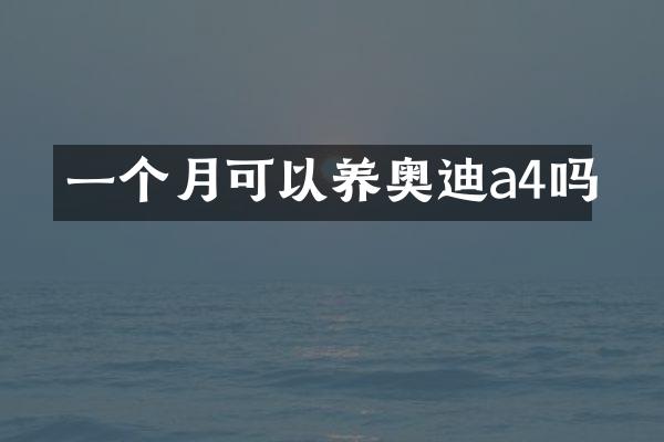 一个月可以养奥迪a4吗