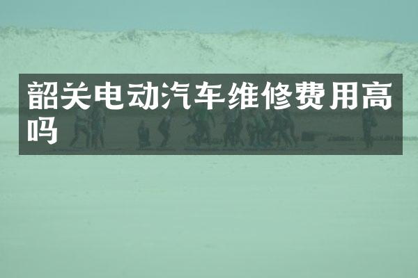 韶关电动汽车维修费用高吗